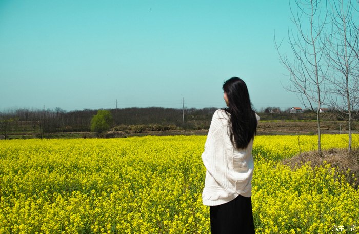 美丽的邂逅(油菜花与美女)