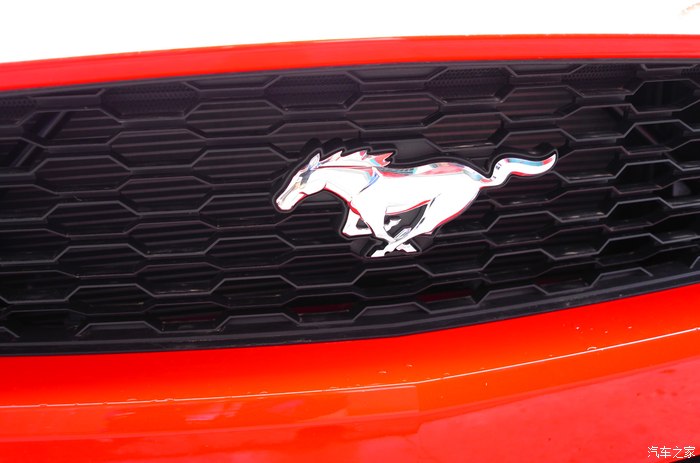 车头和车尾的野马标