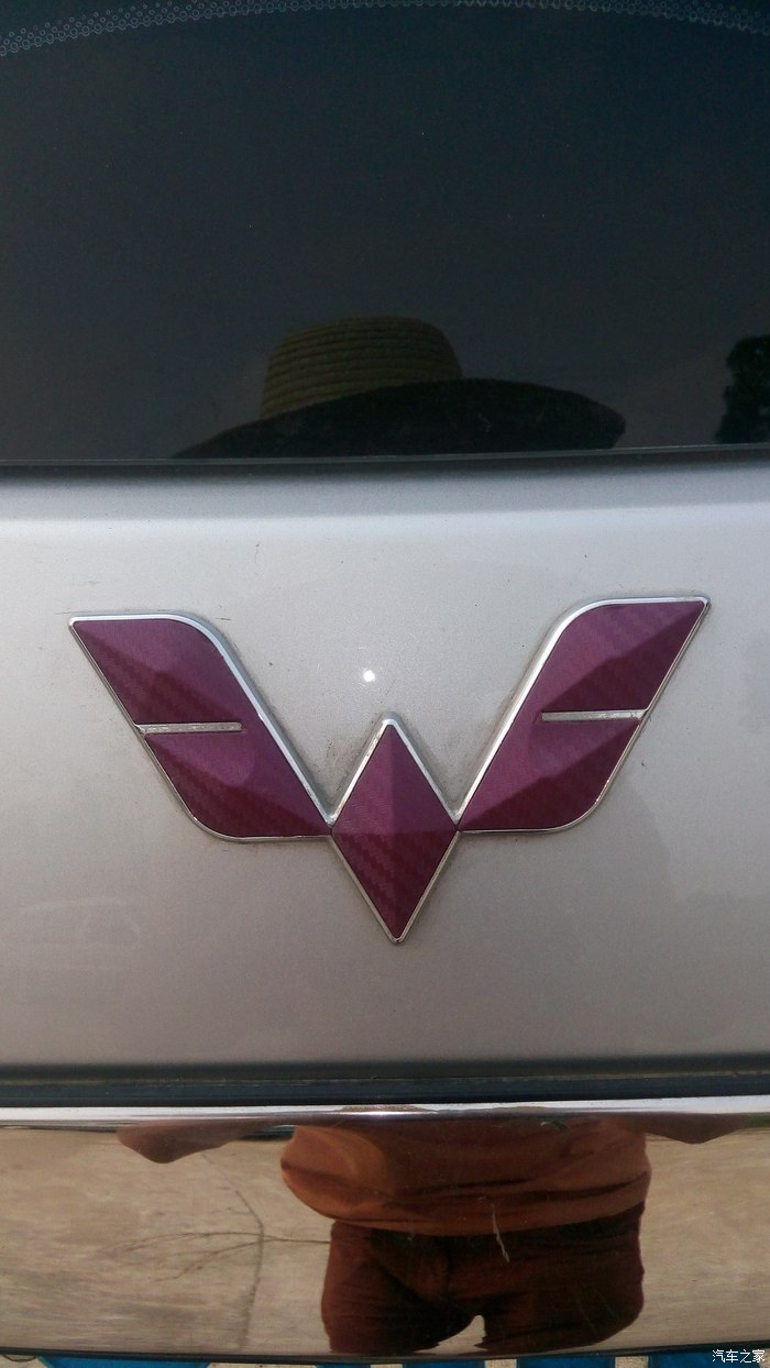 高尚的五菱车标改色,高档次了