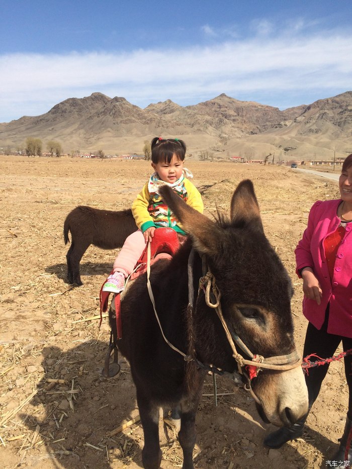 小美女骑毛驴哈哈