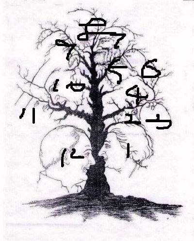 都累了吧,来看看图中有几人张脸!