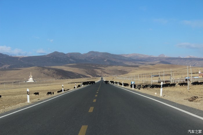 九天6000kmg318川藏线g109青藏线自驾体验雪域圣地之旅