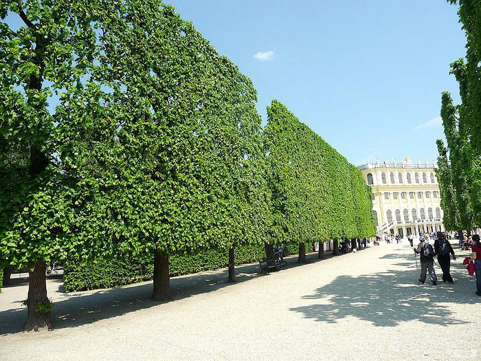 古稀老两口半自助31天欧洲游16国美景献车友