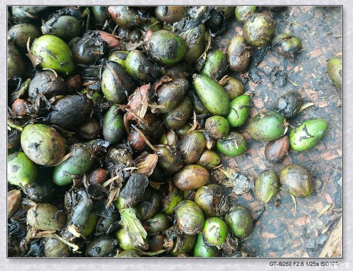 浙江诸暨东白湖自驾三日游记