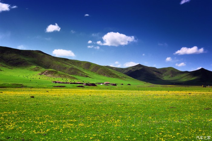 暑假自驾去四川的若尔盖大草原年宝玉则色达结伴游