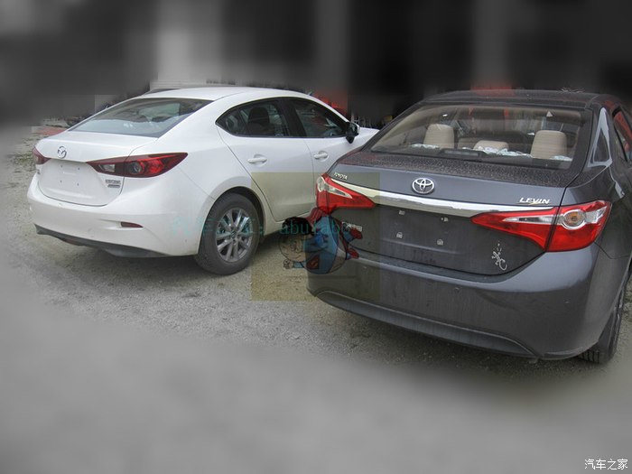 duang~当幸福来敲门时,我还没反应过来~分享