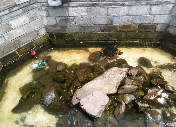 412马自达车主温岭方山东海塘自驾游