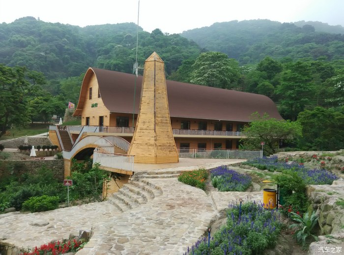 【暮春增城二龙山赏五月雪·油桐花】