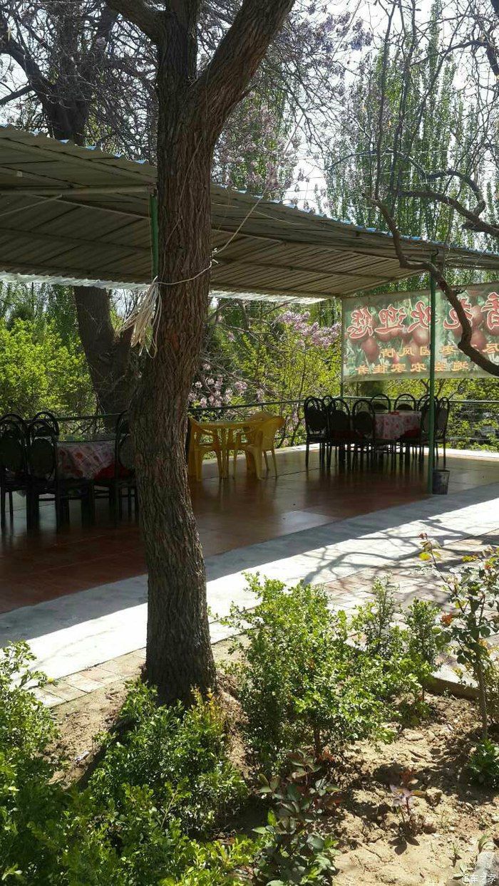 刘家峡摘草莓一日游 求精求精!