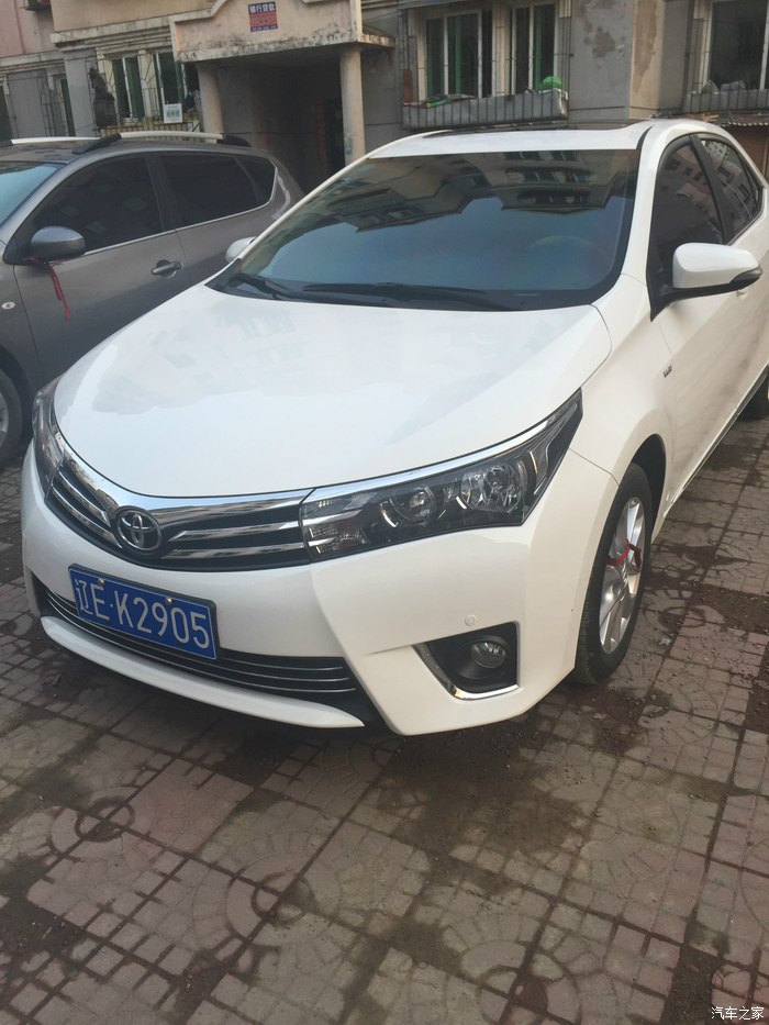 新卡罗拉作业申精我的大白