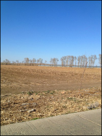 奔赴梨树县林海镇品尝当地烤羊