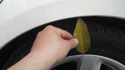 这两张是对比的左右后轮!