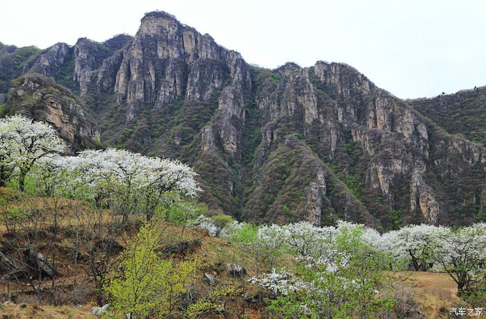 魅力房山梨花梯田山村山色房山霞云岭大滩杏黄