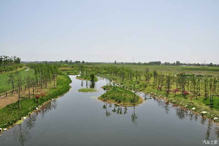 沣东生态湿地公园图片