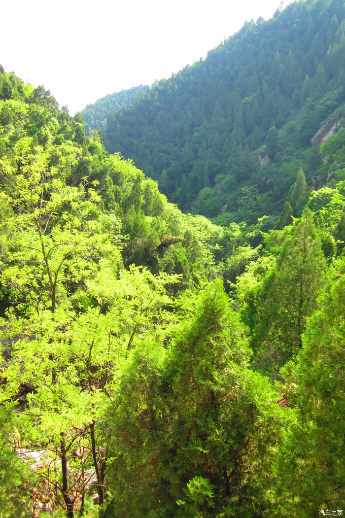 陕西cs35车友会黄巢堡森林公园距离西安最近的森林公园