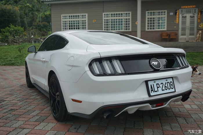 3t mustang白色野马详细作业! 故事美图来求精! ov