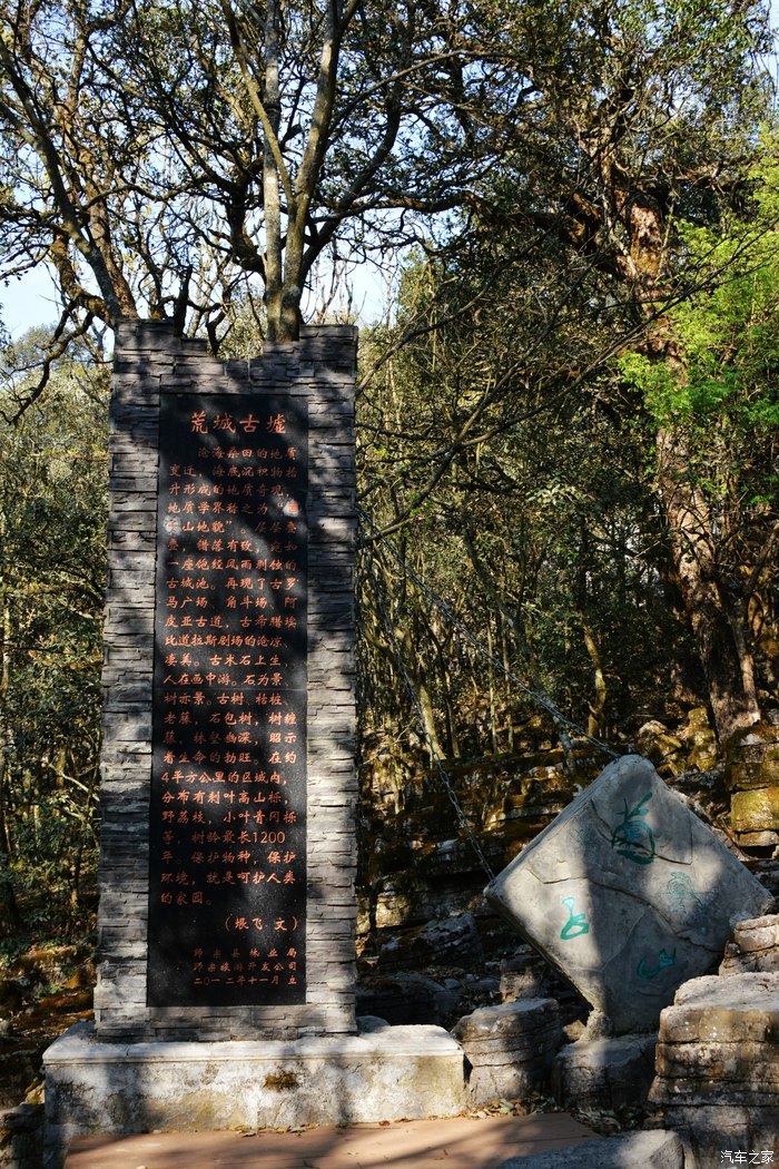 师宗菌子山看怪石嶙峋的喀斯特地貌与灌木丛鹿影与灵归9