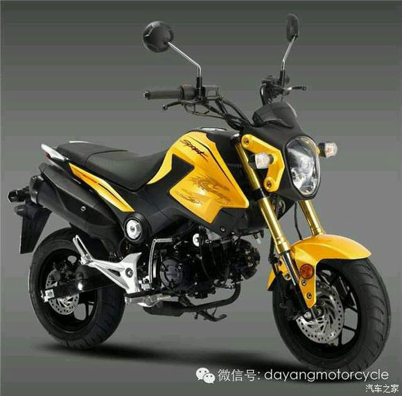 17065 | 回复: 57 摩托车论坛 大阳猴子真的来了《天趣dy125-32》小厂