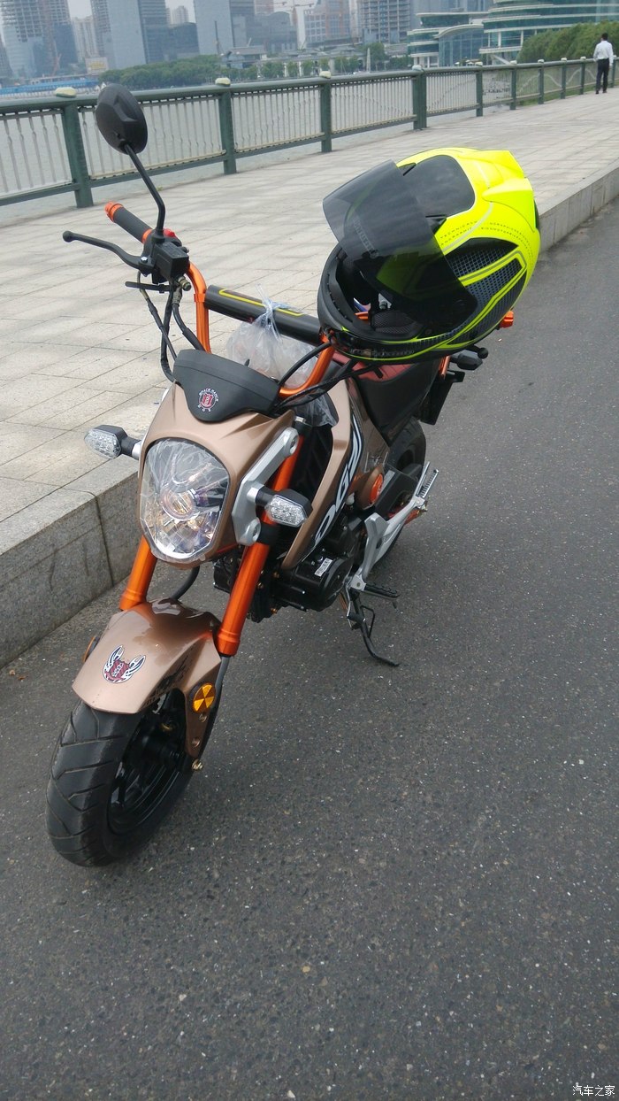 苏州提双色版望江大公仔苏州摩友之家