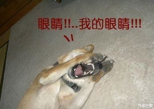 牛逼死了亮瞎你!