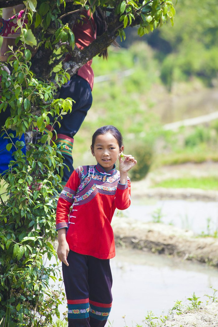 哈尼族的小女孩让爱心永驻