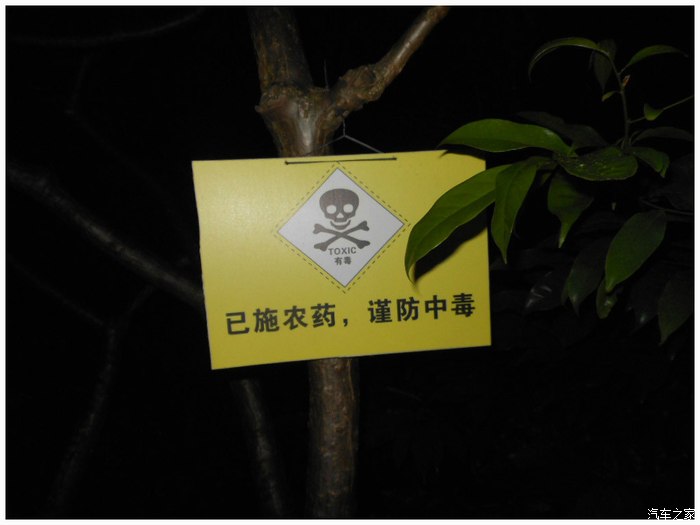 夜漫步雨后的惠州西湖朝京门微风习习35图