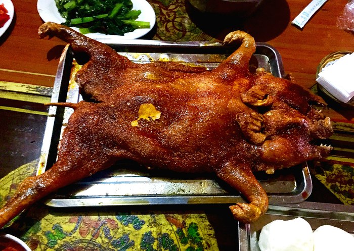 首页大片勇闯藏地20天独驾1万公里遨游川滇青