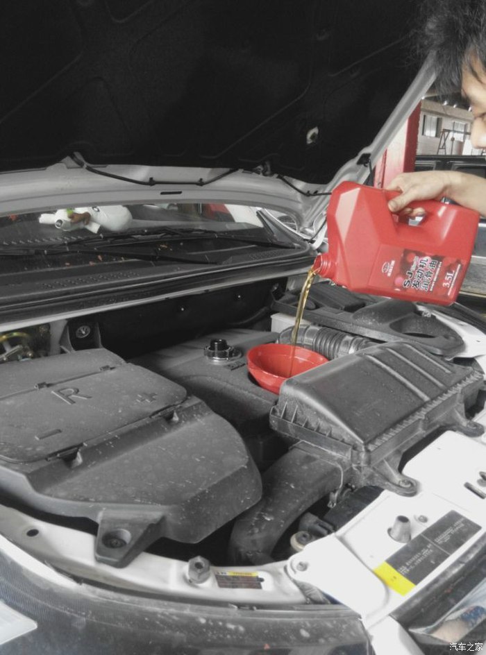 给我家小白做"二保"啦