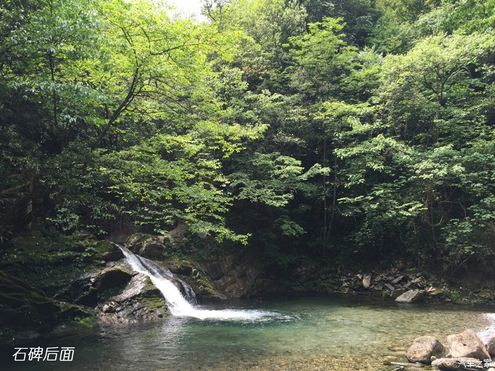 遊五峰後河,親近大自然