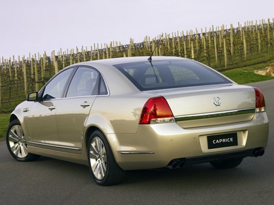 这个应该是林荫大道吧?