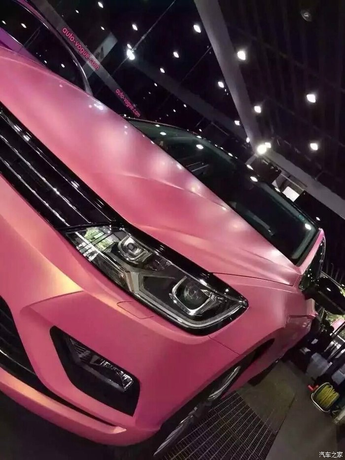 凌渡全车3m顶级粉沙金美女骚男们看过来