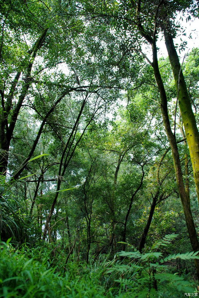 博罗东山省级森林公园随拍