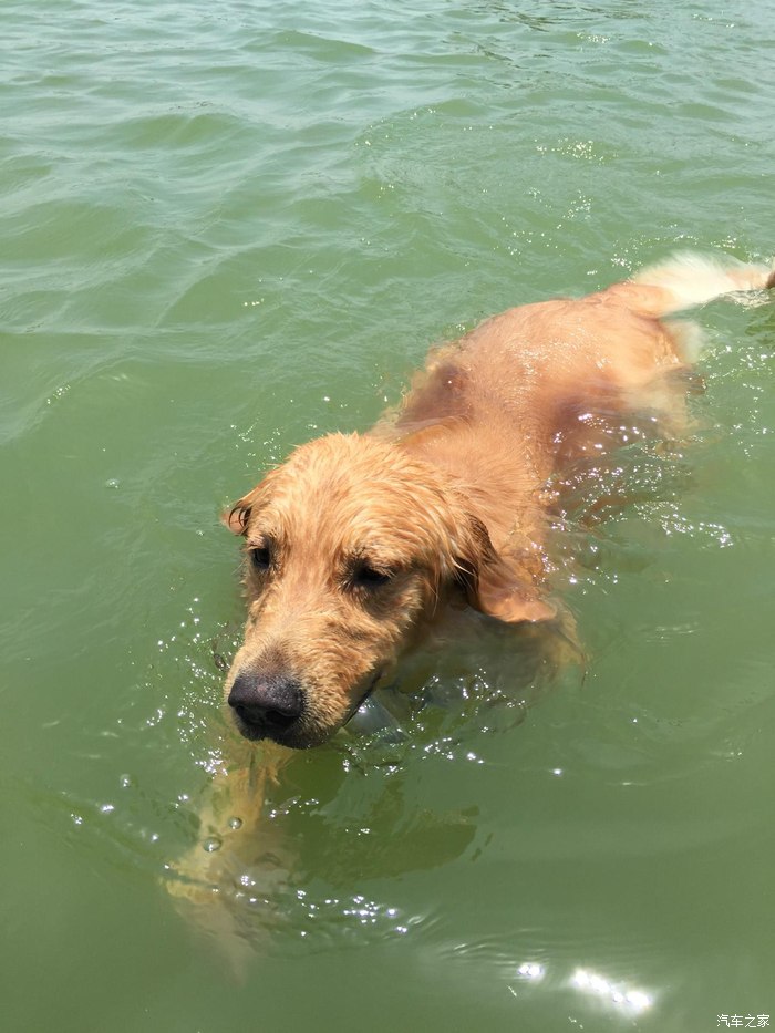 苏州林肯mkc尊耀汽车之家认证好礼往下翻~申精啦