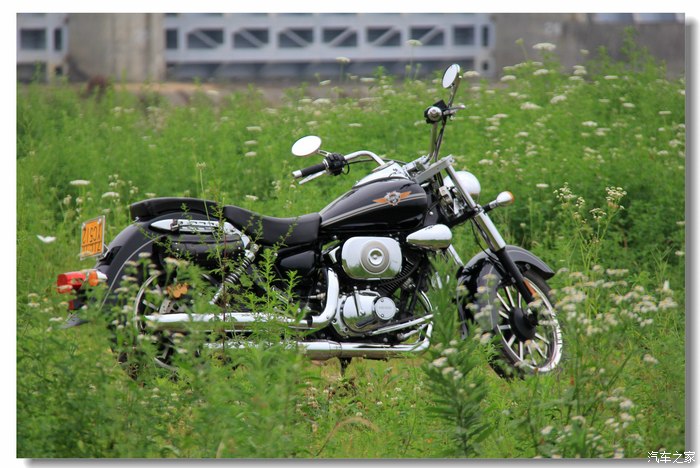 摩托车论坛_汽车之家论坛