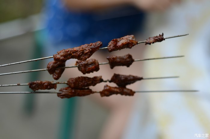 好兄弟沣峪口九龙潭分水岭农家烧烤一日游