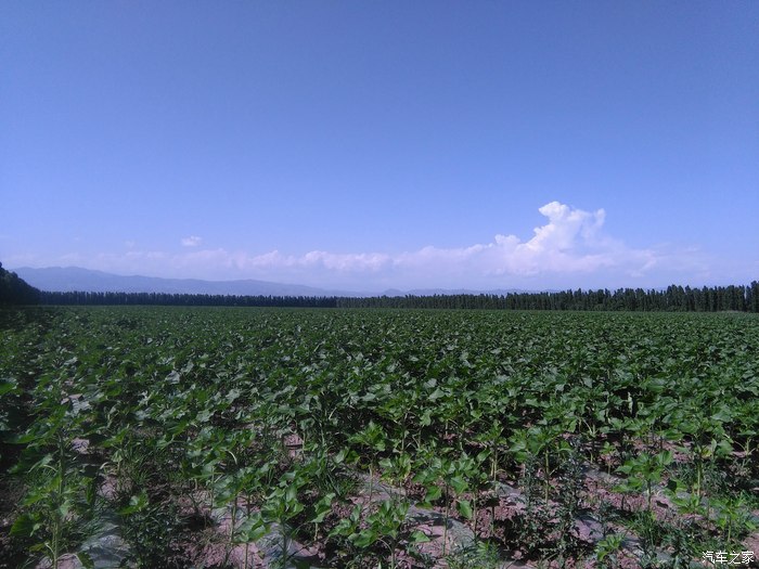 狂奔420公里行进在南山公路新源县伊宁市